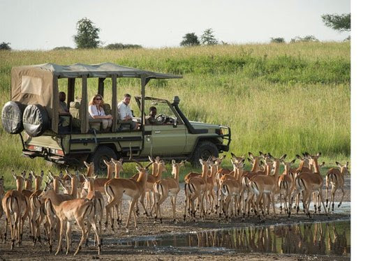 A Tanzania envoy to China has unveiled his ambitious plan as he seeks to increase the number of Chinese tourists visiting the East African country and the region at large.