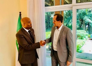 Somaliland is looking to widen ties with Germany in the development of infrastructure and foreign investment.