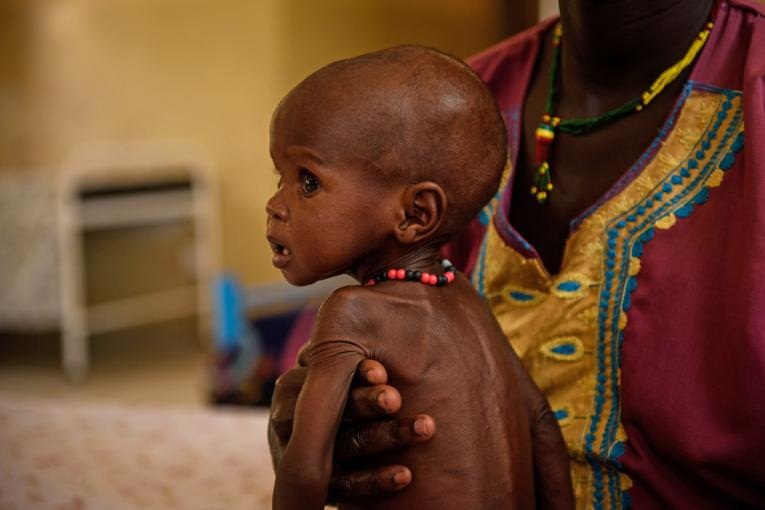 African countries have made progress toward eradicating malnutrition and stunting but need to do more to hit United Nations malnutrition targets by 2025. This was the main message of a meeting that took place during the 33rd African Union Summit.