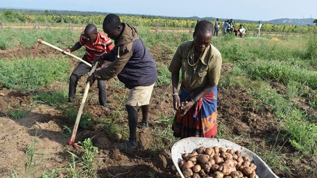Evidence shows that social protection programs can provide an answer to some of these challenges.