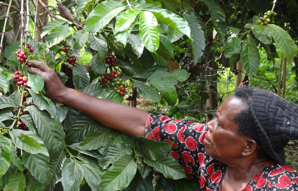 Despite the Integration of 6 economies in the East African Community (EAC), many  Small -scale farmers especially women have for so long not felt the impact of the Integration on their Livelihood.