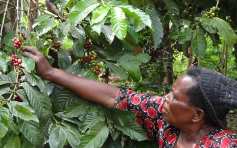 Despite the Integration of 6 economies in the East African Community (EAC), many  Small -scale farmers especially women have for so long not felt the impact of the Integration on their Livelihood.