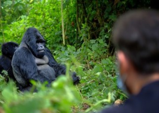 The severity of the impact of coronavirus on China's growth prospects will hold major implications for Africa given the continent's close ties to the Asian giant.