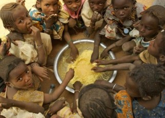 The United Nations World Food Programme (WFP) has warned that the COVID-19 pandemic could almost double the number of people suffering acute hunger, pushing it to more than a quarter of a billion by the end of 2020.