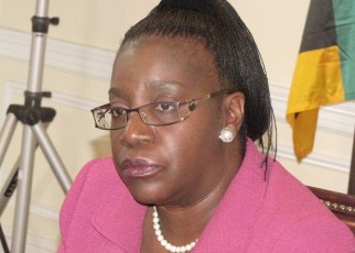 COMESA will develop an online platform for exchanging information on the availability of essential products within the COMESA Member States as part of the response measures to the COVID-19 pandemic.