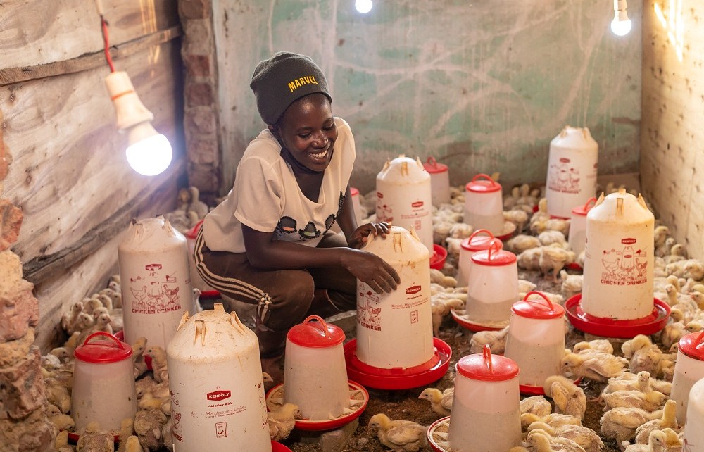 As part of its mandate to strengthen the entrepreneurial fabric of the region, the Eastern and Southern African Trade and Development Bank (TDB) SME Programme has signed an initial 4-year senior/ mezzanine debt facility of USD 1 million to be managed by Grassroots Business Fund (GBF), to finance agribusiness SMEs in Kenya, Tanzania and Uganda.