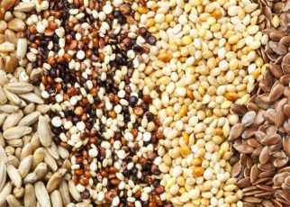 The COMESA Business Council recently convened a webinar on “Unlocking Food Security Through Improved Seed Trade in COMESA” aimed at discussing issues of access to quality and affordable seed and challenges in trade facilitation in the movement of seed across borders amidst COVID-19.