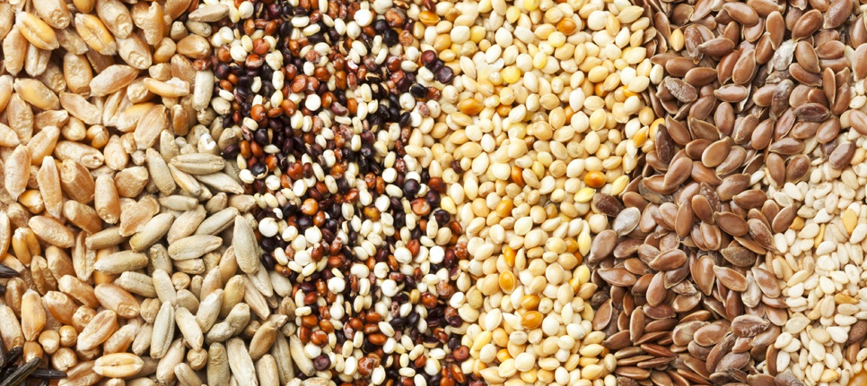 The COMESA Business Council recently convened a webinar on “Unlocking Food Security Through Improved Seed Trade in COMESA” aimed at discussing issues of access to quality and affordable seed and challenges in trade facilitation in the movement of seed across borders amidst COVID-19.