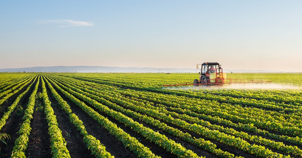 The 2020 Africa Agriculture Status Report (AASR) has been launched at the African Green Revolution Forum (AGRF) virtual summit in Kigali, Rwanda.