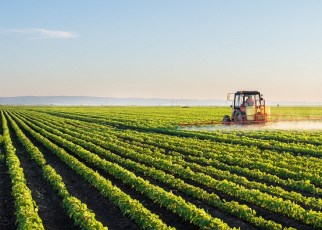 The 2020 Africa Agriculture Status Report (AASR) has been launched at the African Green Revolution Forum (AGRF) virtual summit in Kigali, Rwanda.
