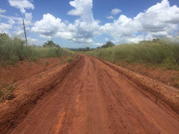 The World Bank Board of Directors has approved a grant of $130.8 million from the International Development Association (IDA) to ease the movement of goods and people and improve access to social services and job opportunities in the refugee hosting districts in the West Nile sub-region of Uganda.