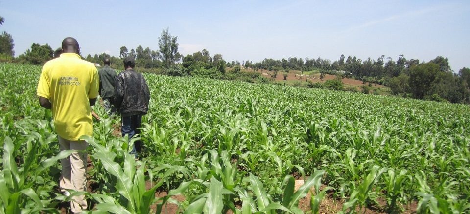 Dr André Bationo and Dr Catherine Nakalembe have been announced as the 2020 winners of the Africa Food Prize (AFP) for their exceptional contribution towards the promotion of food security across the continent.