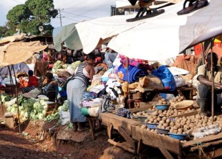 The 10th edition of the annual African Green Revolution Forum (AGRF) in Kigali Rwanda, saw heads of state, government ministers, civil society, and business leaders resolve to use the flourishing urban food markets as a launchpad for growing the continent’s agricultural investments into stable businesses.