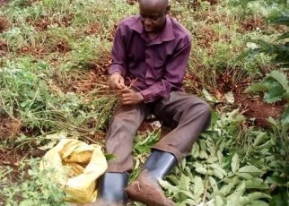 Small-scale Farmers within East Africa have called upon EAC Member states to support them to adopt Organic farming practices.