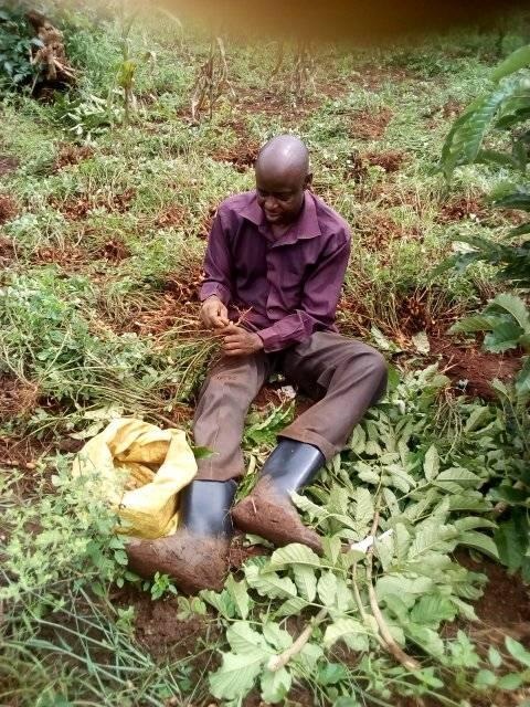 Small-scale Farmers within East Africa have called upon EAC Member states to support them to adopt Organic farming practices.