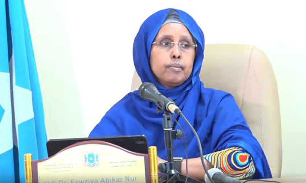 Concern as Somali Ministry of Health Collapses Amid Corruption Allegations