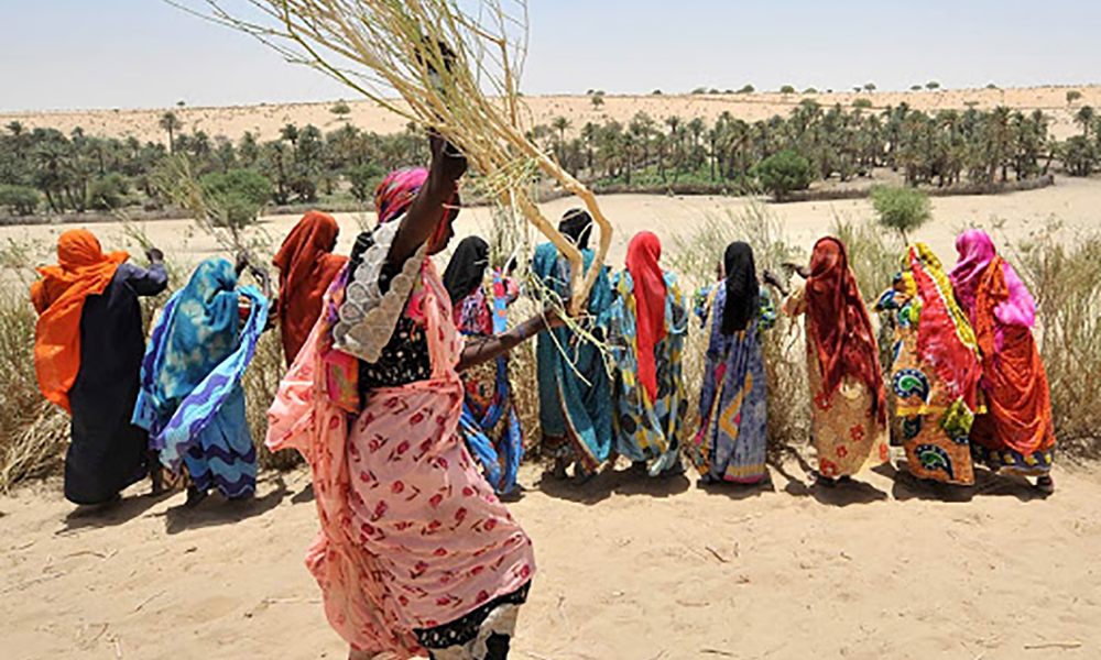 Sahel Alliance, G5 Sahel & its Partners Deliver Three Years Assessment.