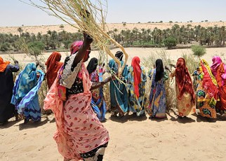 Sahel Alliance, G5 Sahel & its Partners Deliver Three Years Assessment.