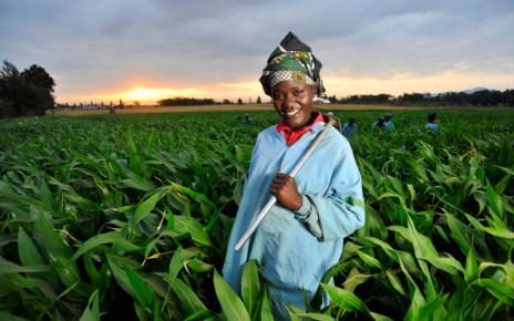 Why Agribusiness Investment is Most Exciting for Africa.