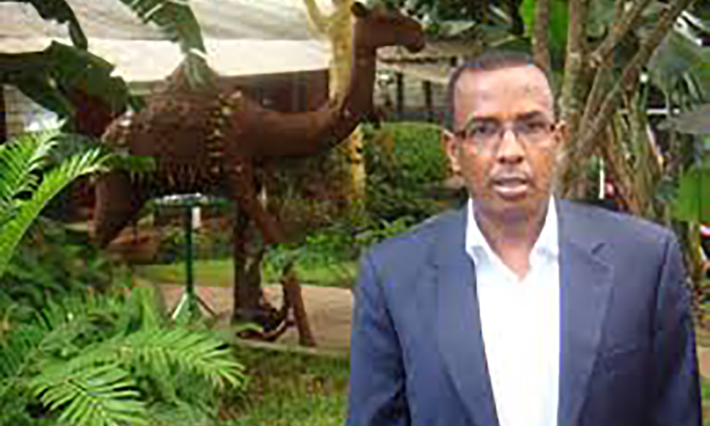 Corruption & Mismanagement Hampering Somali Humanitarian Efforts