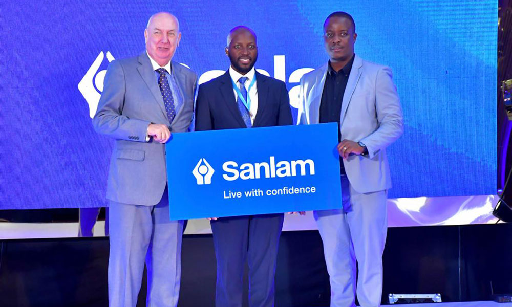 Move to Purpose-led Organization-Sanlam