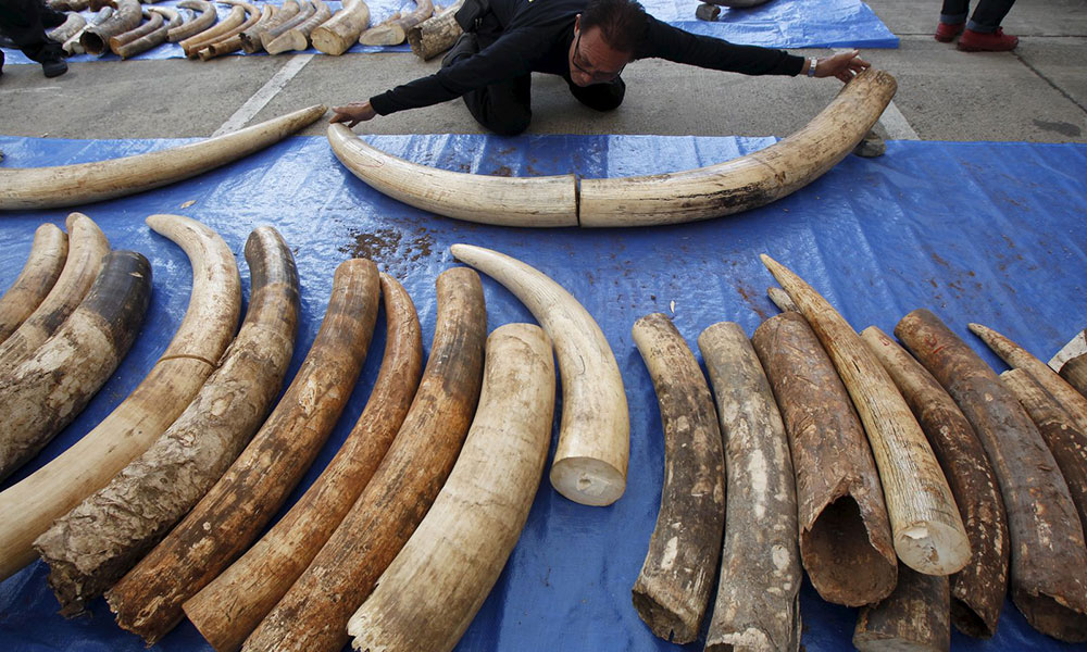 New Report Reveals Illicit Trade in East Africa