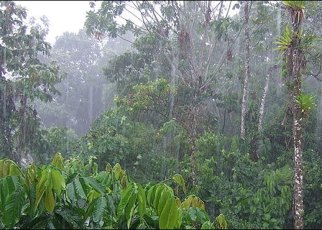 Drier and Warmer Season Continue Across Eastern Africa