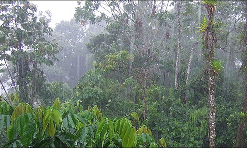 Drier and Warmer Season Continue Across Eastern Africa