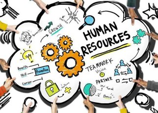 Human Resources a Critical Lever for Business-Report