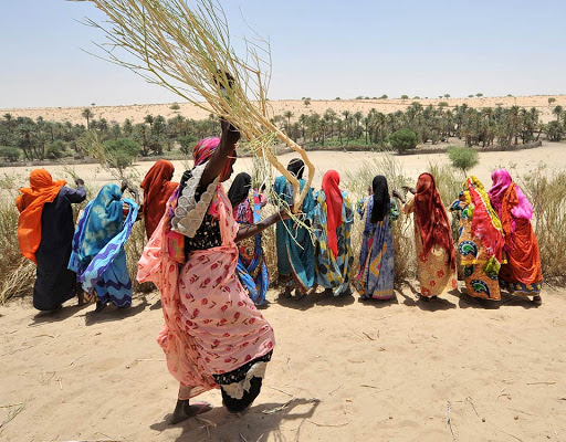 Somalia on Brink of Famine, Aid Group Calls for Funding