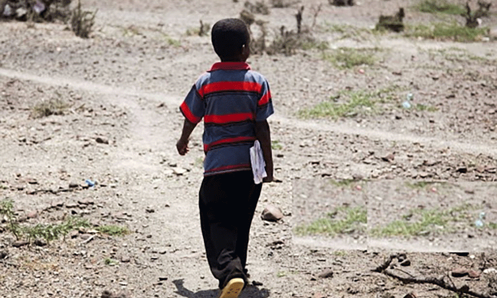 Children Herd Goats in the Morning, Attend Classes in the Afternoon-Somaliland
