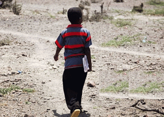 Children Herd Goats in the Morning, Attend Classes in the Afternoon-Somaliland