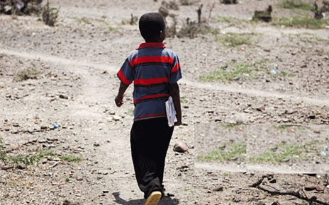 Children Herd Goats in the Morning, Attend Classes in the Afternoon-Somaliland