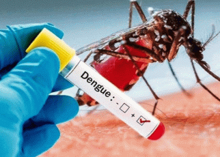 Rising Cases of Dengue Fever Worrying Somaliland