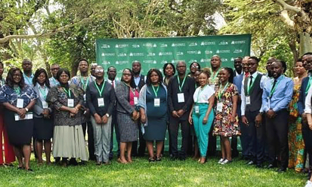 ECOSOCC Acknowledges CSOs in Promoting Peace in Africa