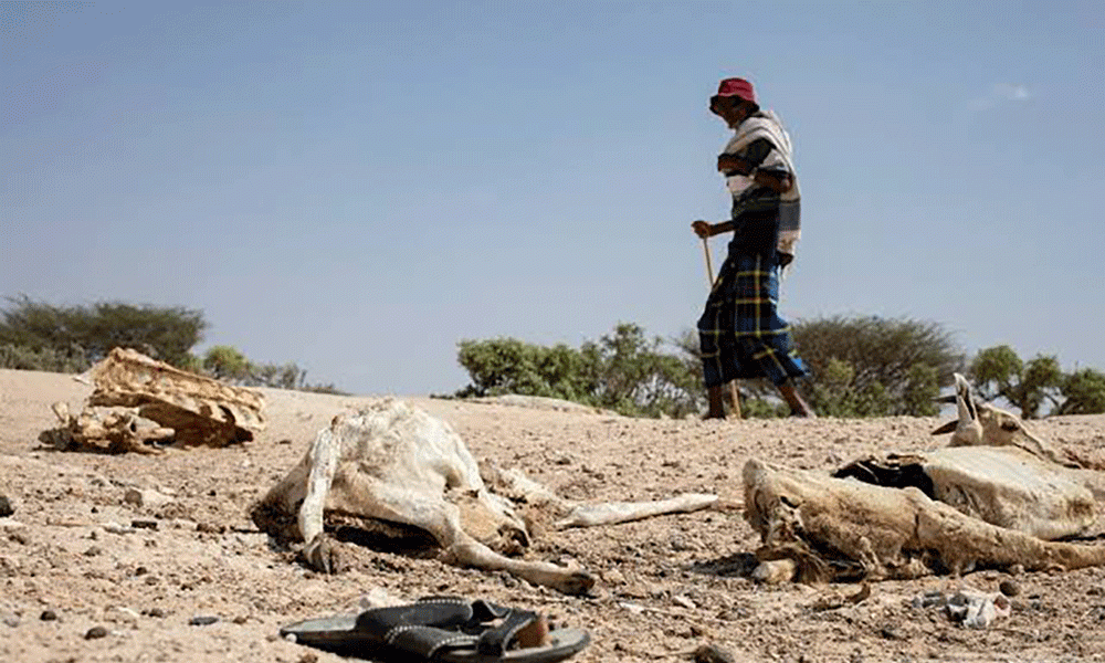 We Need USD 416M to Avert Famine in Somalia-WFP