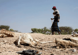 We Need USD 416M to Avert Famine in Somalia-WFP