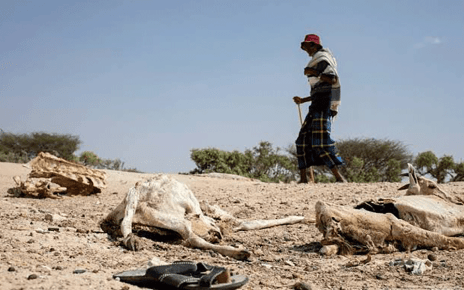 We Need USD 416M to Avert Famine in Somalia-WFP