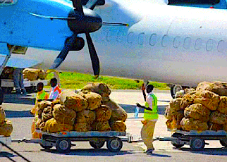 Kenya Khat Traders source Product from Ethiopia for Somalia