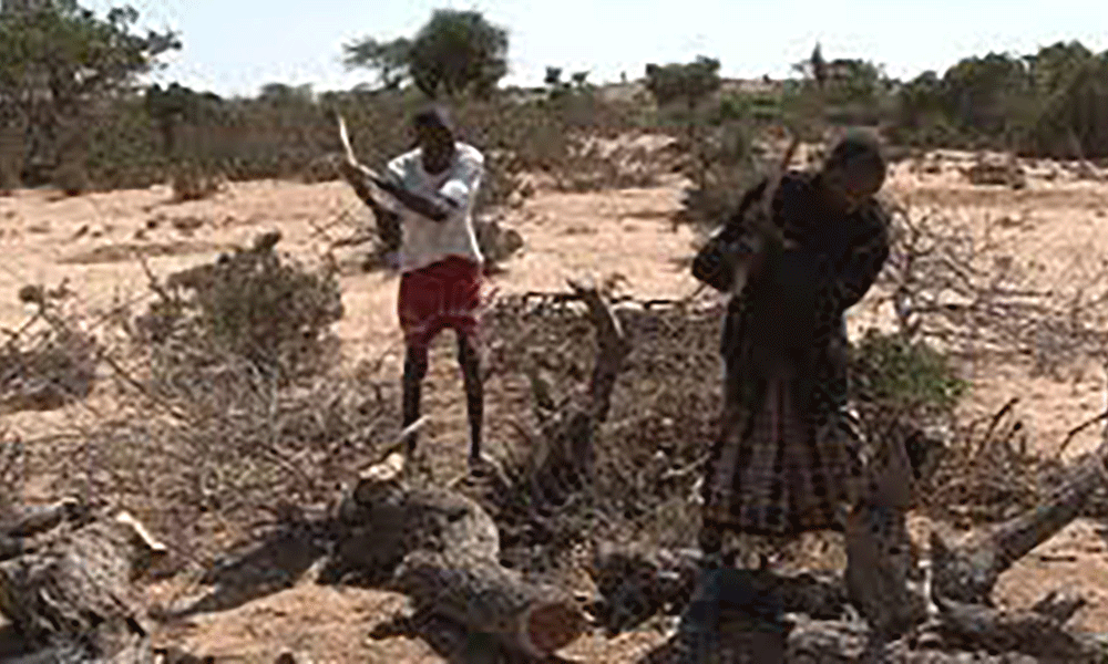 Lack of Coal Denies Somalia Climate Aid