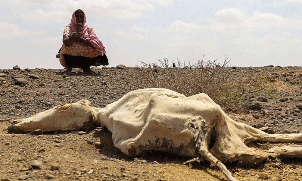 Somali Demands Progress on Climate Change from Wealthy Nations