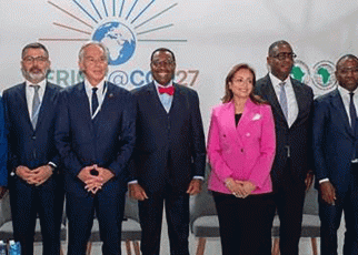 African, Global Partners Launch Alliance for Green Infrastructure