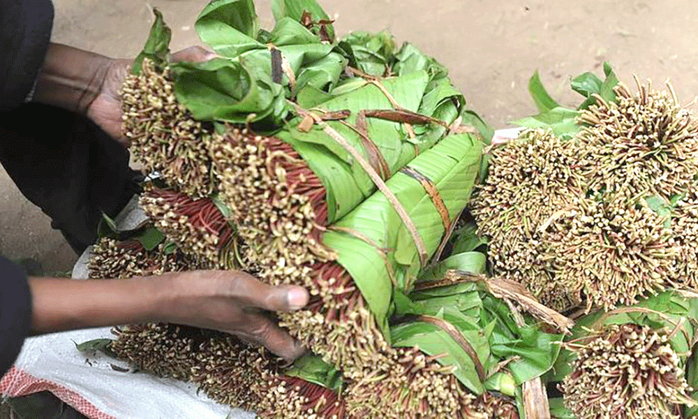 Djibouti Seeking Long-term Khat Supply from Kenya
