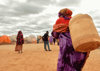 FAO and Germany Step up Humanitarian Action in Rural Somalia