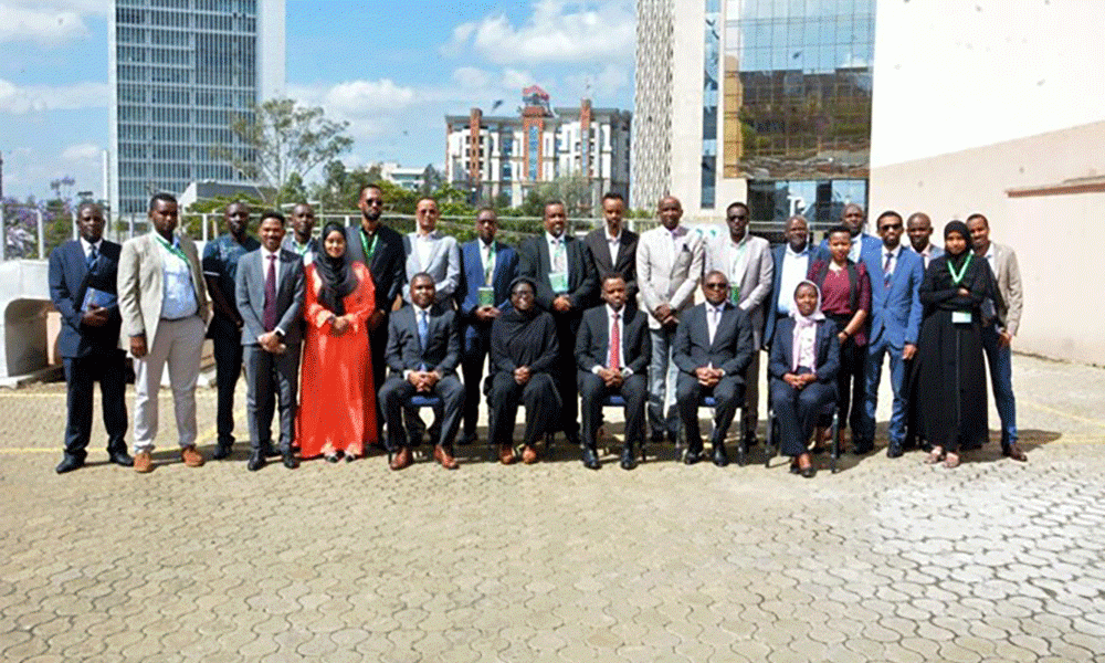 Senior Somali Officials Acquire Communications Skills