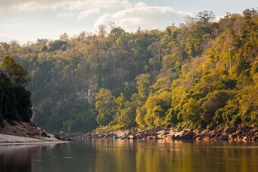 Tanzania to build 2100MW hydropower project in Selous Game Reserve