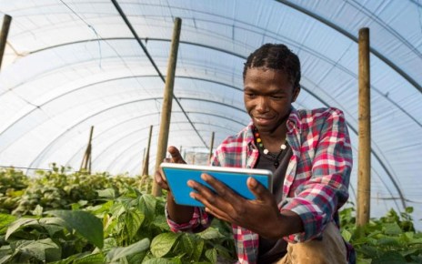 According to experts, the African population is expected to double by 2050, which means that food demand on the continent is expected to at least double by then.