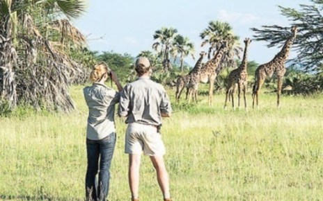 According to the Bank of Tanzania Monthly Economic Review report, the tourism industry was the main source of foreign exchange receipts by Tanzania in 2018.