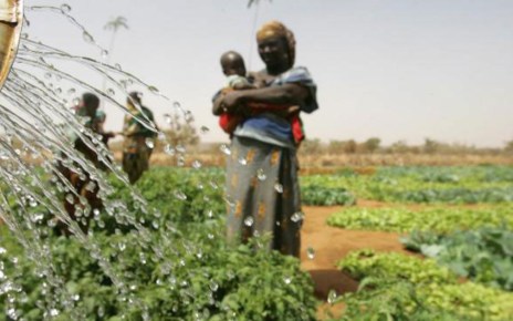The report also warns that Africa needs to tackle the IT skills and digital literacy gap, especially amongst farmers