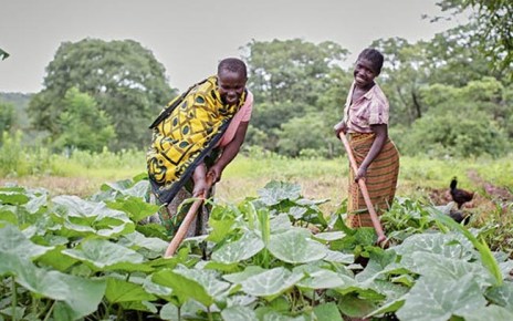 Support Rural Women to Adopt Organic Farming Practices, Activists asks Government